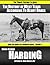The History of West Texas According to Henry Brass (The Completely Abridged Series)