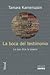 La boca del testimonio: Lo que dice la poesía