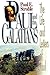 Paul and the Galatians
