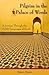 Pilgrim in the Palace of Words A Journey Through the 6,000 Languages of Earth by Glenn Dixon