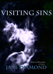 Visiting Sins (Kindle Edition)