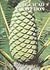 The Cycad Collection of the Durban Botanic Gardens: With Notes on Cycad Conservation and Cultivation