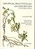 Ceropegia, Brachystelma and Riocreuxia in Southern Africa: With Illustrations