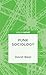 Punk Sociology by David Beer