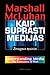 Kaip suprasti medijas: Žmogaus tęsiniai