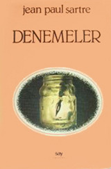Denemeler