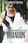 Breaking Brandon