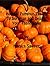 Holiday Pumpkin Treats to Surprise and Delight Your Taste Buds