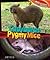 Capybaras and Pygmy Mice (Big Animals, Small Animals)