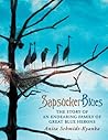 Sapsucker Blues: The Story of an Endearing Family of Great Blue Herons