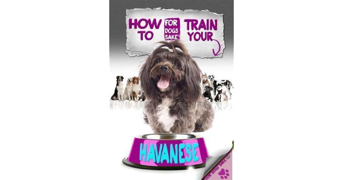 How to Train Your Havanese by Jenny Milbrook