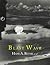 Blast Wave