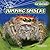 Jumping Spiders (Nightmare Creatures: Spiders!)