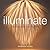 Illuminate by Hannah Nunn