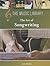The Art of Songwriting (The Music Library)