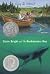 Lizzie Bright And The Buckminster Boy (Turtleback School & Library Binding Edition)