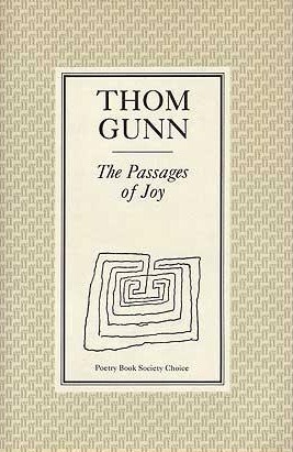 The passages of joy (Hardcover)