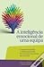 A Inteligência Emocional de Uma Equipa