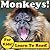 Monkeys! Learning About Mon...