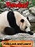 Pandas! Learn About Pandas and Enjoy Colorful Pictures - Look and Learn! (50+ Photos of Pandas)