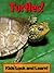 Turtles! Learn About Turtle...