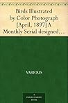 Birds Illustrated...