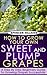 How To Grow Your Own Sweet and Plump Grapes