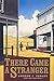 There Came a Stranger by Andrew J. Fenady
