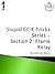 Stupid CCIE Tricks Series - Section 2 by Johnny Bass