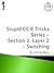 Stupid CCIE Tricks Series v5.0 - Section 3 by Johnny Bass