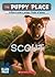 Scout by Ellen Miles Scout by Ellen Miles