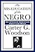 The Mis-Education of the Negro