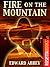 Fire on the Mountain by Edward Abbey