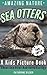 Sea Otters by Catherine Wilder
