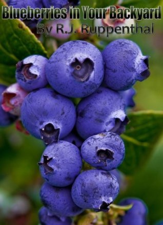 Blueberries in Your Backyard: How to Grow America’s Hottest Antioxidant Fruit for Food, Health, and Extra Money (Booklet)