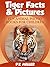 Tiger Facts & Pictures by P.K. Miller