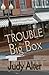 Trouble in a Big Box (Kelly O'Connell #3)