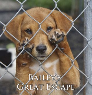 Bailey's Great Escape (A Cute Dog Story)