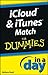 iCloud and iTunes Match In ...