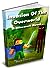 Invasion of the Overworld: ...