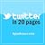 Twitter in 20 Pages