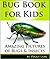 Bug Book for Kids: Amazing Pictures of Bugs and Insects! Learn Fun Facts in this Kids Book about Bugs from Australia