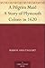A Pilgrim Maid: A Story of Plymouth Colony in 1620
