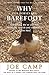 WHY OUR HORSES ARE BAREFOOT...