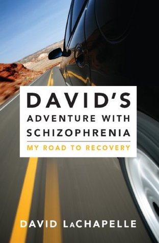 David's Adventure with Schizophrenia: My Road to Recovery (David's Trilogy with Schizophrenia Book 1)