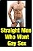 Erotic Gay Sex Stories - Straight Men Who Want Gay Sex