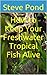 How to Keep Your Freshwater Tropical Fish Alive