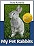 My Pet Rabbits: What I Learned About Rabbits