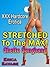 STRETCHED To The MAX - Ghetto Gangbang! (A Hardcore XXX Erotica Story)