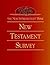 The New Interpreter's Bible...